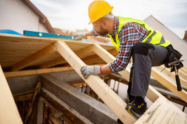 Best Roof Maintenance Services  in New Carlisle, IN